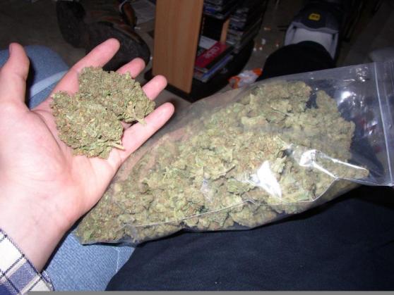 Чем является марихуана купить семена конопли санкт петербург